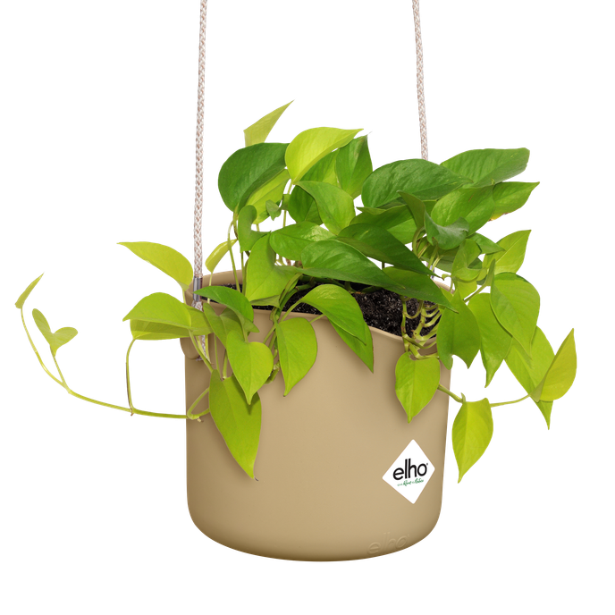 b.for swing 18cm goudkleurig zand
